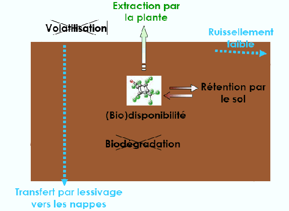 les députés réclament une transparence accrue concernant les risques liés à la présence d'hexane dans les aliments, afin de protéger la santé des consommateurs.
